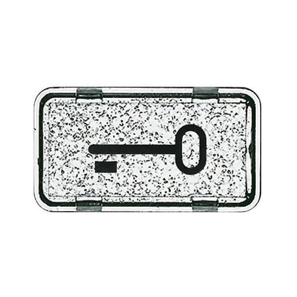 Busch-Jaeger Tastersymbol Schlüssel 2622 TR-101
